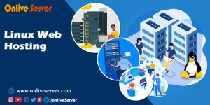 Friendly Guide to Linux Web Hosting: Affordable, Reliable Plans for Small Businesses