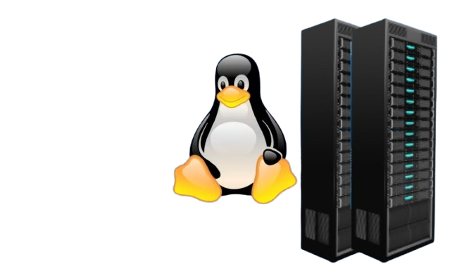 Linux VPS Hosting