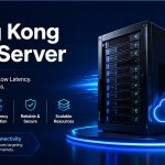 Effective Ways to Get More Out of Hong Kong VPS Server– OnliveServer